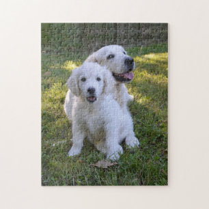 Puzzle Golden Retriever maman et chiot