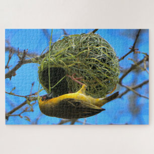 Puzzle Golden weaver bird, Afrique du Sud