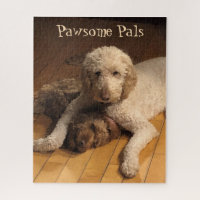 Goldendoodle Best Friends - Adorable Dog Duo