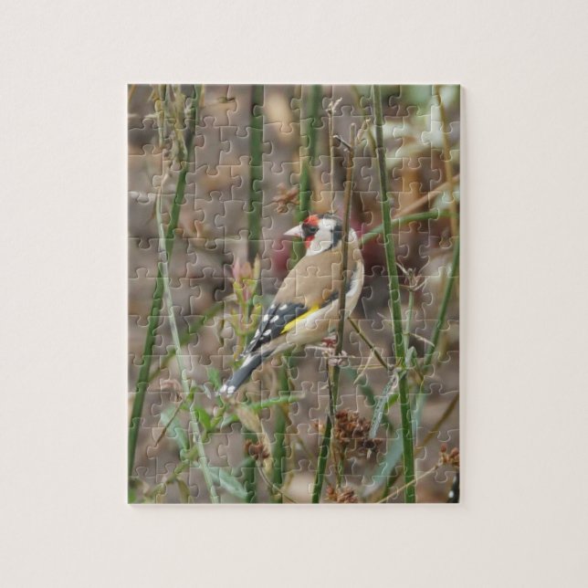 Puzzle Goldfinch (Vertical)