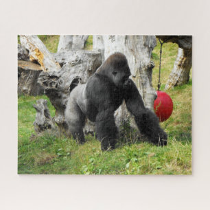 Puzzle Gorille de silverback de plaine