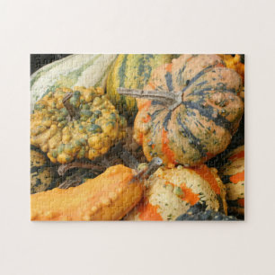 Puzzle Gourdes colorées et fantaisie automne