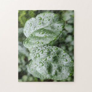 Puzzle Gouttes de pluie sur feuilles vert foncé