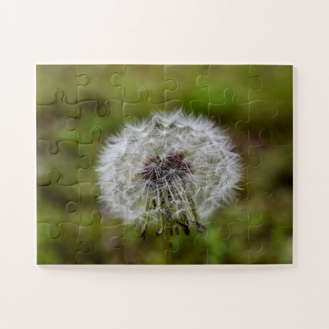 Puzzle Graines de Dandelion (Horizontal)