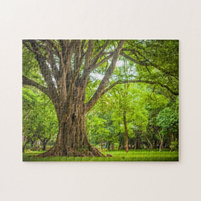 Puzzle Grand arbre en parc (Horizontal)