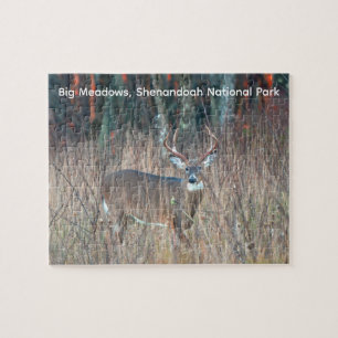 Puzzle Grand Buck, Parc national de Shenandoah