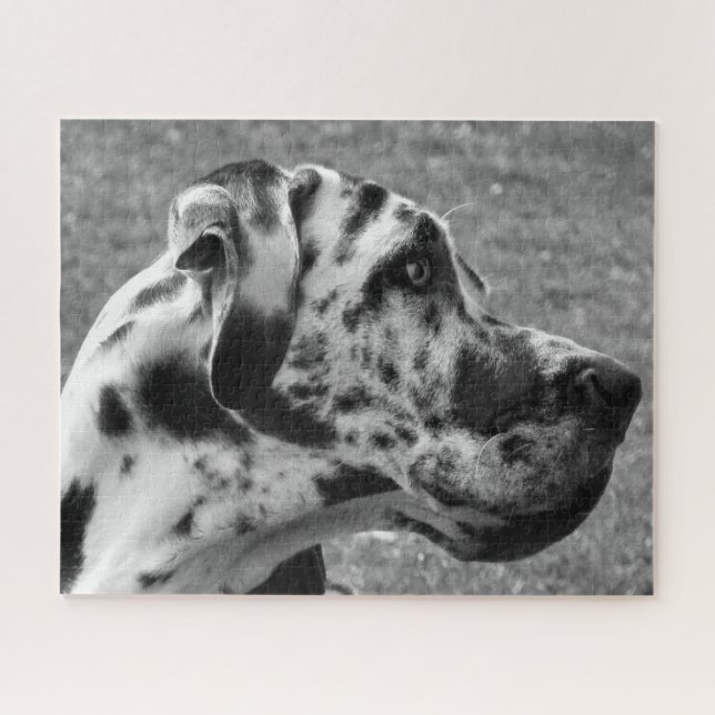 PUZZLE GRAND DANE (Horizontal)