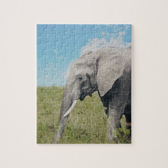 Puzzle Grand éléphant gris exotique marchant (Vertical)