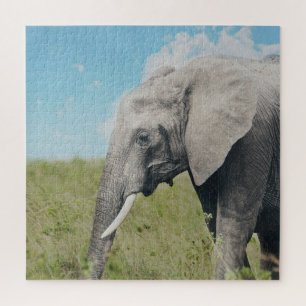 Puzzle Grand éléphant gris exotique marchant
