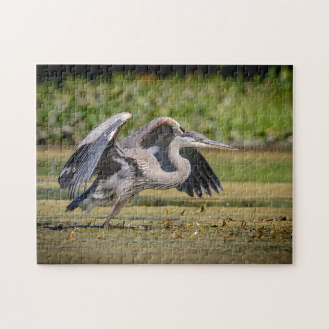 Puzzle Grand Héron bleu en vol (Horizontal)