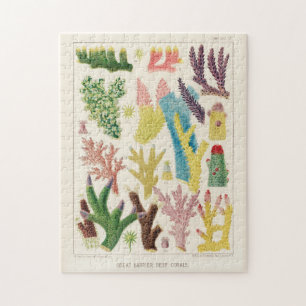 Puzzle Grande barrière vintage de corail d'Australie