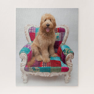 Puzzle Grandes images Coute Goldendoodle