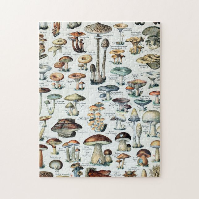 Puzzle Graphique des champignons comestibles Vintages (Vertical)