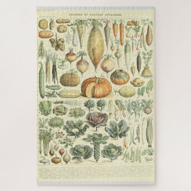 Puzzle Graphique d'identification des légumes (Vertical)