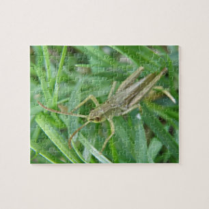 Puzzle Grasshopper