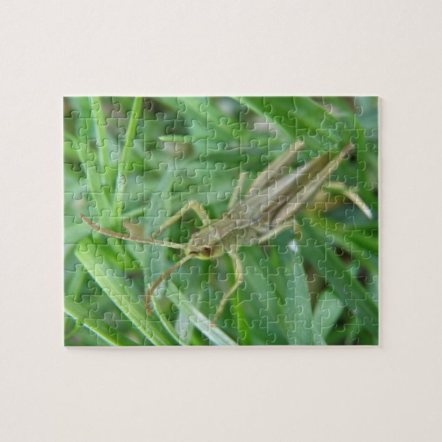 Puzzle Grasshopper (Horizontal)