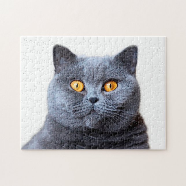 Puzzle Gray cat yellow (Horizontal)