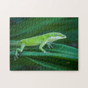 Puzzle Green Anole Lizard