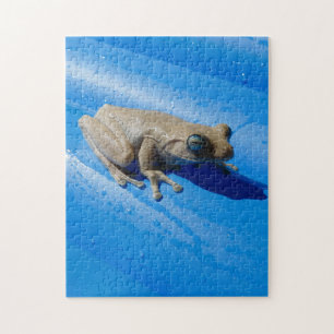 Puzzle Grenouille au lait sur un flotteur de piscine bleu