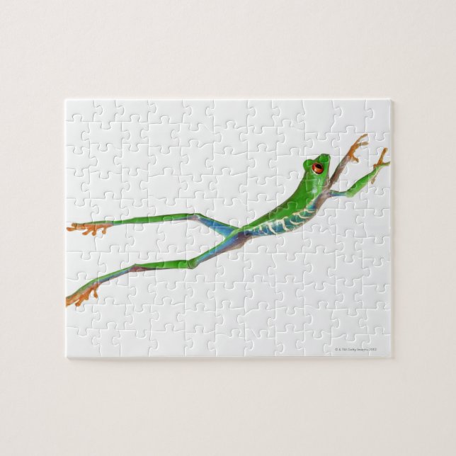 Puzzle Grenouille aux yeux rouges saut (Horizontal)