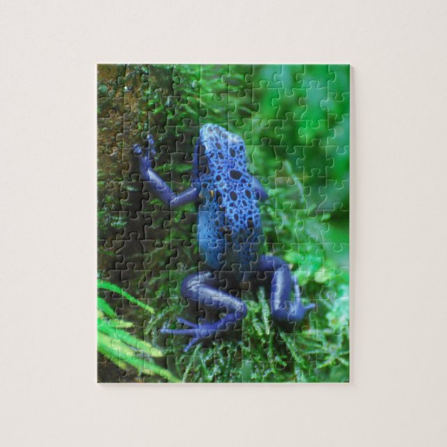 Puzzle Grenouille bleue de flèche de poison (Vertical)