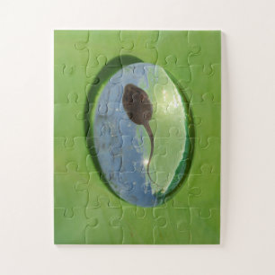 Puzzle Grenouille Tadpole nager dans la goutte d'eau