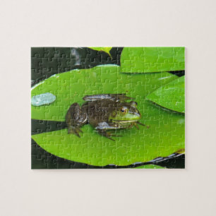 Puzzle Grenouille taureau sur Lilypads