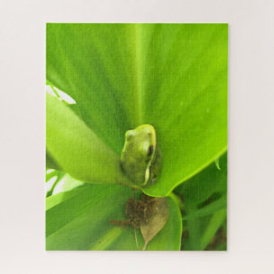 Puzzle Grenouille verte
