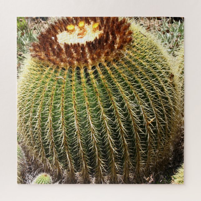 Puzzle Gros cactus ronds à pointes (Vertical)