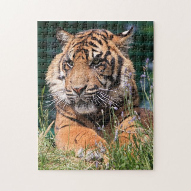 Puzzle Gros plan (Vertical)