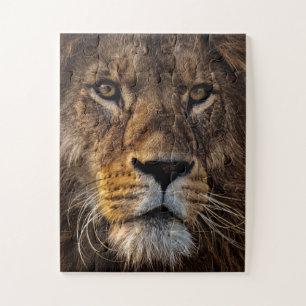 Puzzle Gros Plan Lion, Homme Adulte