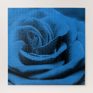Puzzle Gros plan rose bleue rouge, macro beauté.