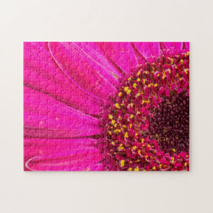 Puzzle Gros plan sur une marguerite de Gerber