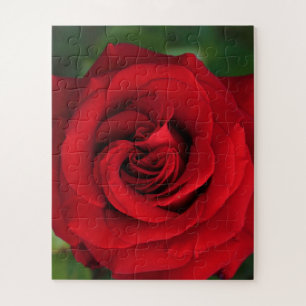 Puzzle Grosse Rose simple presque