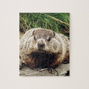 Puzzle Groundhog