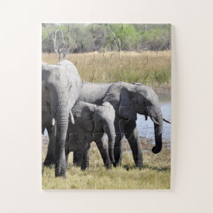 Puzzle Group of African Elephants in Front of Water Hole