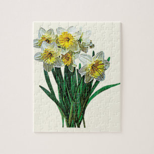 Puzzle Groupe de Daffodils blancs