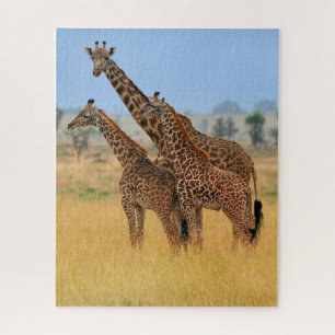 Puzzle Groupe de Giraffes dans le Parc national du Sereng