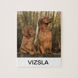Puzzle groupe de vizsla