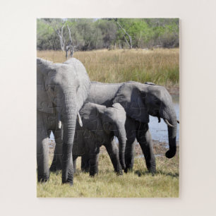 Puzzle Groupe d'éléphants africains devant le trou d'eau