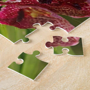 Puzzle Groupe tropical d'orchidée de Vanda