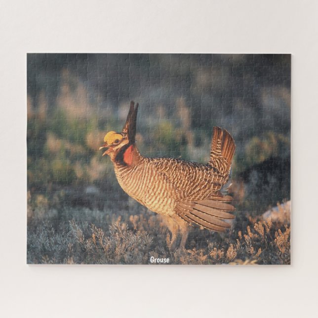 Puzzle Grouse (Horizontal)