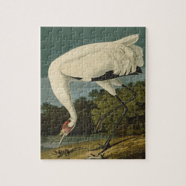 Puzzle Grue blanche Audubon Peinture d'oiseaux (Vertical)