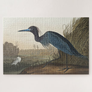Puzzle Grue bleue ou héron d'Oiseaux d'Amérique