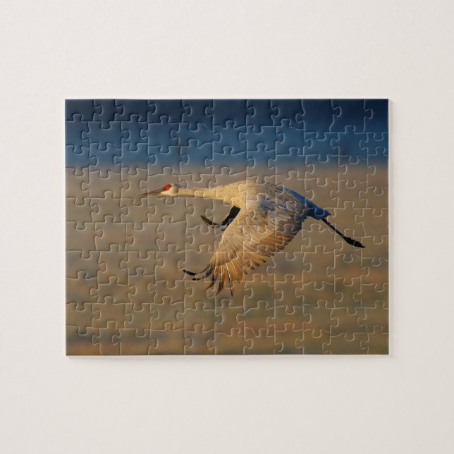 Puzzle grue de sandhill (Horizontal)