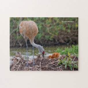 Puzzle Grue du Grand Sandhill Père et enfant