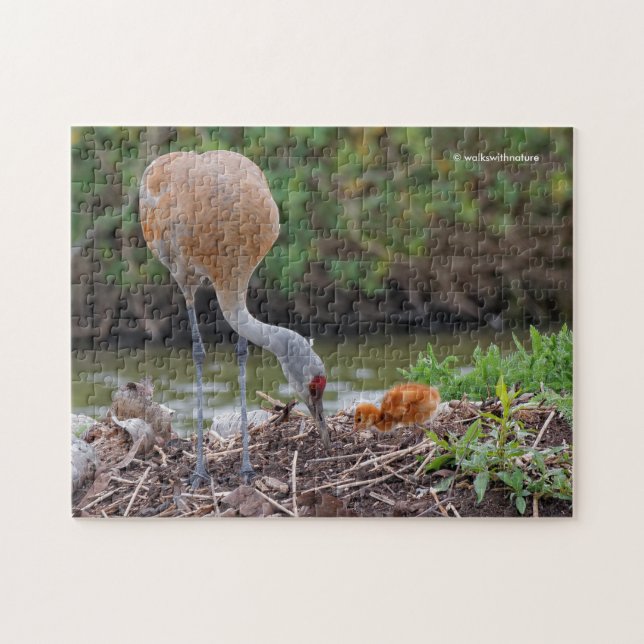 Puzzle Grue du Grand Sandhill Père et enfant (Horizontal)