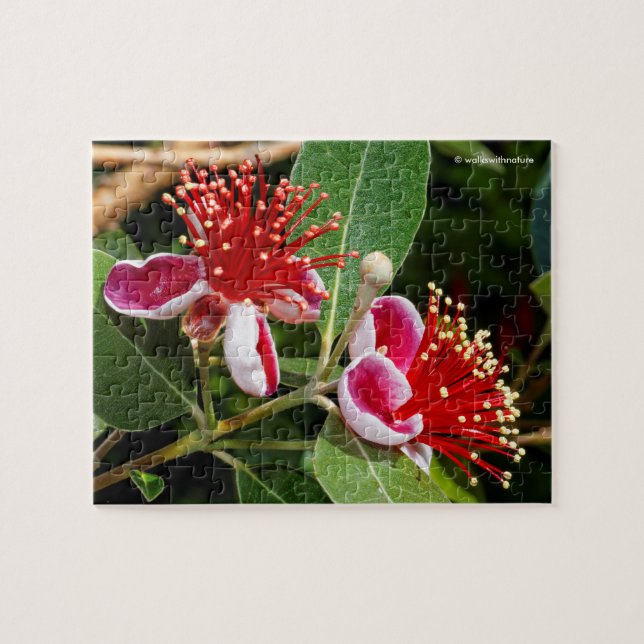 Puzzle Guava ananas / Guavasteen (Horizontal)