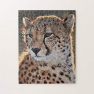 Puzzle Guépard regard détourné