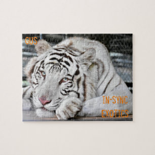 Puzzle Gus -